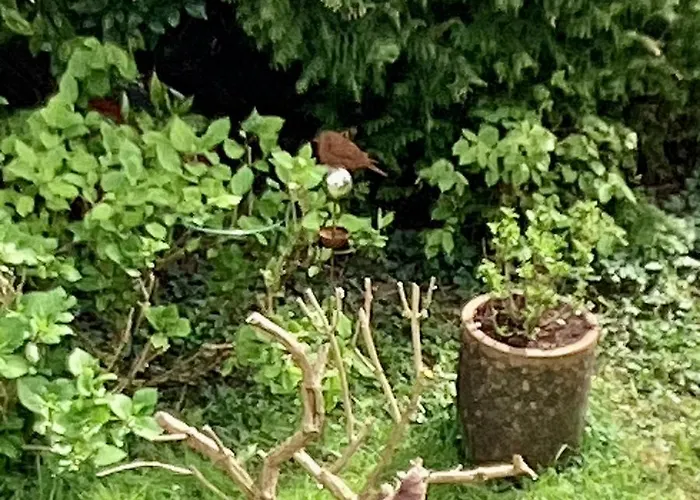 Good Life A شقة *