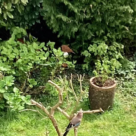 Good Life A Διαμέρισμα *